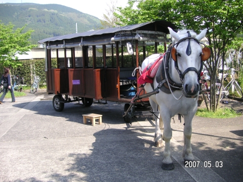 s_PICT0082.jpg